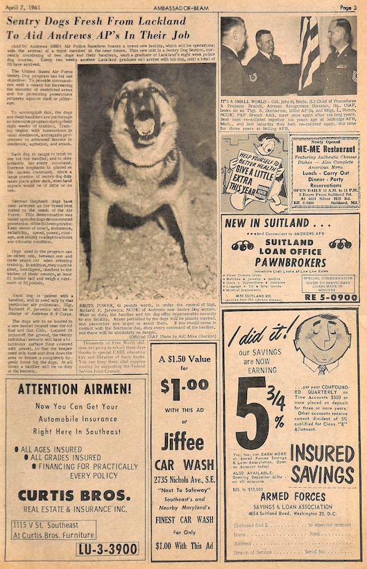An article from the 
Ambassador Beam newspaper 
in April 1961 highlights the 
arrival of the first sentry dogs 
to Andrews Air Force Base. 
The dogs and handlers trained 
at Lackland Air Force Base 
prior to arriving 
Andrews.