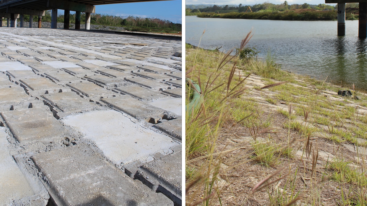 Split-screen image showing the progression of an articulated concrete block revetment; the left side shows newly installed, bare concrete blocks, while the right side shows the same blocks with established grass growth between them.