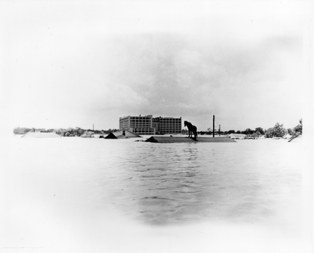 “Lucky,” the horse sits atop a roof in Fort Worth during the historic flooding of the Clear Fork of the Trinity River in 1949. In the background is the former Montgomery Ward department store. The photo was taken by Hillis Miessner, a Fort Worth resident. Flooding like this in the 40s was the reason the Fort Worth District was created, and flood-risk mitigation remains a key role of the district today. With 25 dams and reservoirs, along with 373 miles of levees and bank protection, the district civil works projects have prevented an estimated $170 billion in damages since its inception.