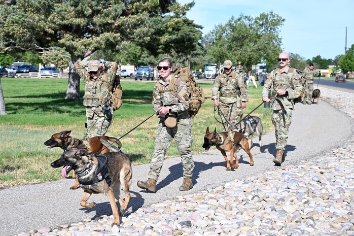 Four people carrying ruck backpacks walking 3 military working dogs