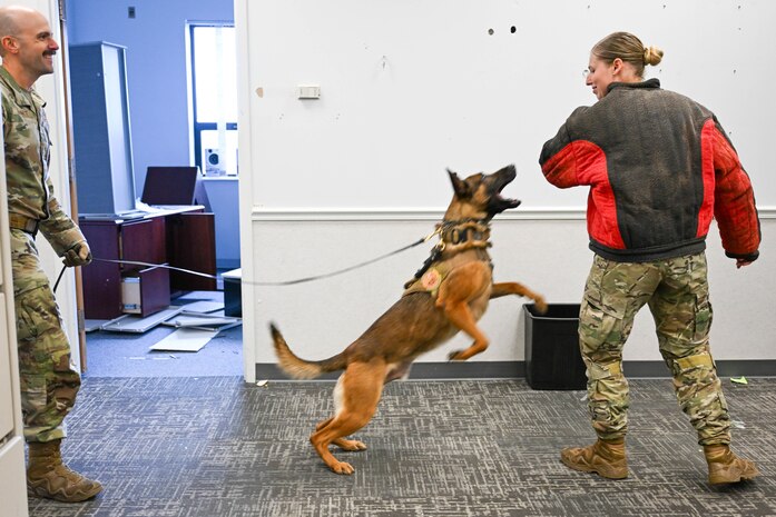 Two Airman with a military working dog biting a padded arm to demonstrate bite training