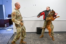 Two airmen and a military working dog demonstrating bite training