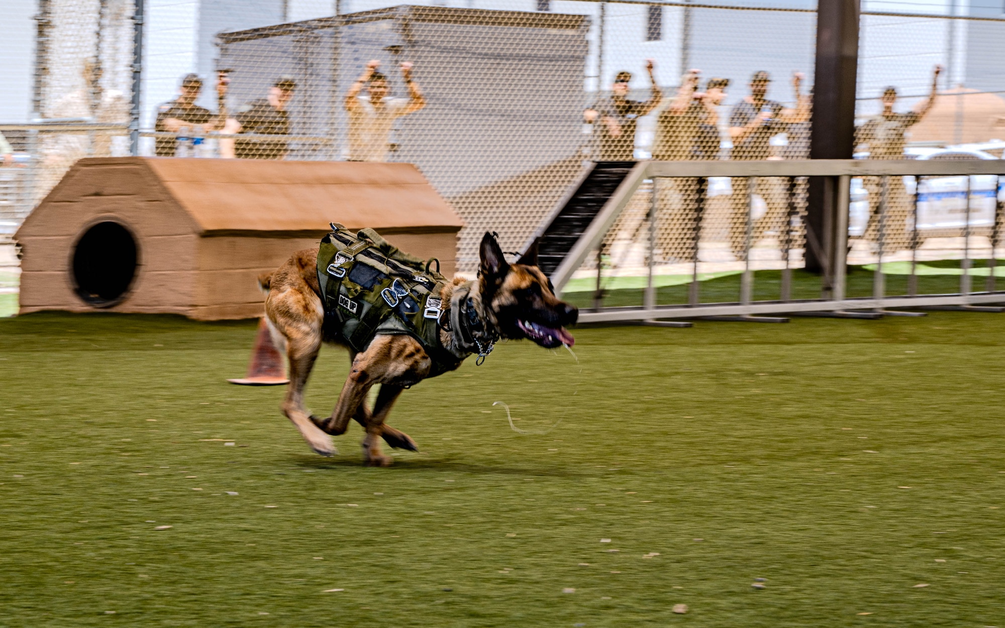 Ralph, a K-9 with the Maricopa County Sherrif’s Office, sprints toward a target during a police and military K-9 competition