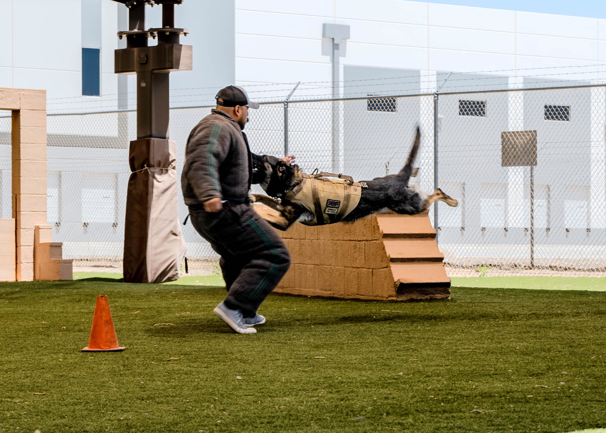 Axl, a K-9 with the Maricopa County SWAT Division, bites a decoy during a police and military K-9 competition