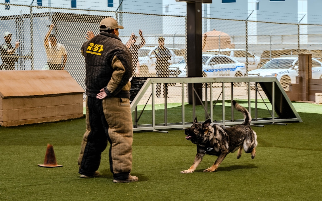 Blitz, a K-9 assigned to the Casa Grande Police Department, runs toward a decoy during a police and military K-9 competition