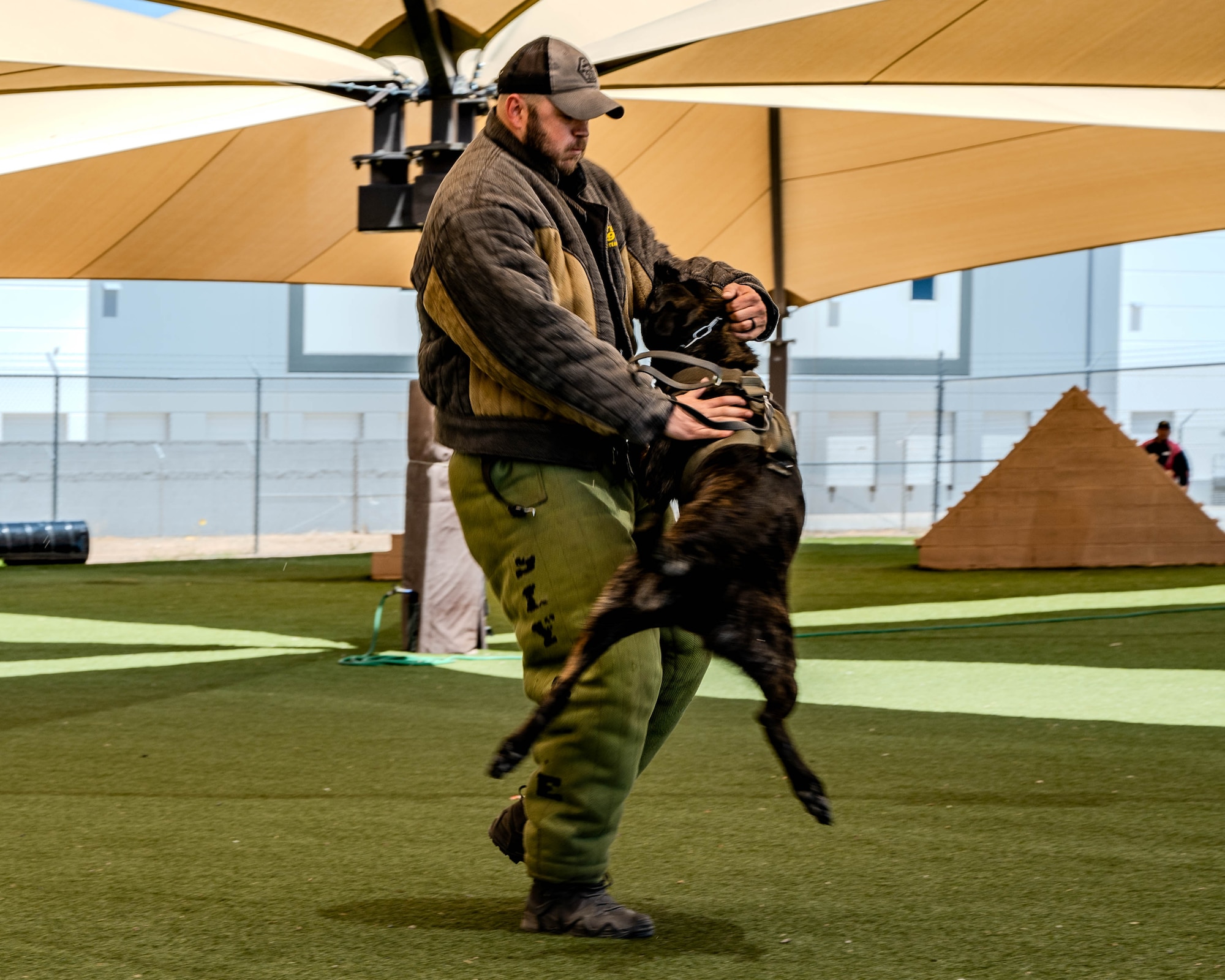 Rik, a K-9 with the Casa Grande Police Department, bites a decoy during a K-9 competition
