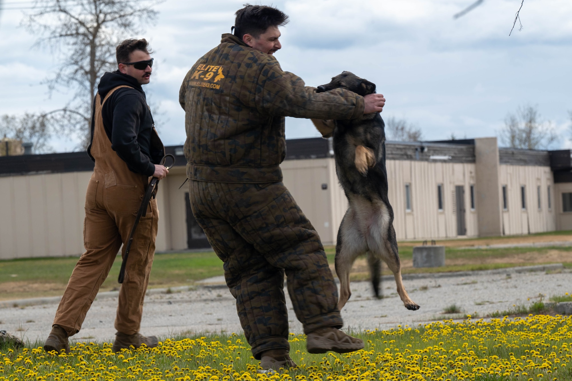 U.S. Air Force Staff Sgt. Johnny Malicoat, 354th Security Forces Squadron military working dog handler, and Jaffa, 354th SFS military working dog, work together to detain Staff Sgt. Alex Petkovic, 354th SFS military working dog handler, during a training demonstration for Police Week at Eielson Air Force Base, Alaska, May 13, 2025.
