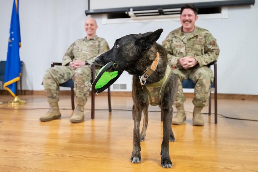 Callie, the only certified search-and-rescue dog in the Department of Defense, is ready to play Frisbee during her retirement ceremony at the Kentucky Air National Guard Base in Louisville, Ky., Jan. 24, 2025.