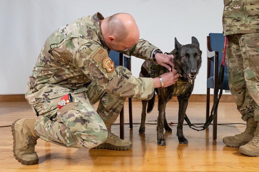 Maj. Bryan Hunt, left, commander of the 123rd Special Tactics Squadron, pins a Meritorious Service Medal to the collar of Callie, the only certified search-and-rescue dog in the Department of Defense, during Callie’s retirement ceremony at the Kentucky Air National Guard Base in Louisville, Ky., Jan. 24, 2025.