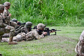 Soldiers lay on their stomach in a grassy field practicing shooting