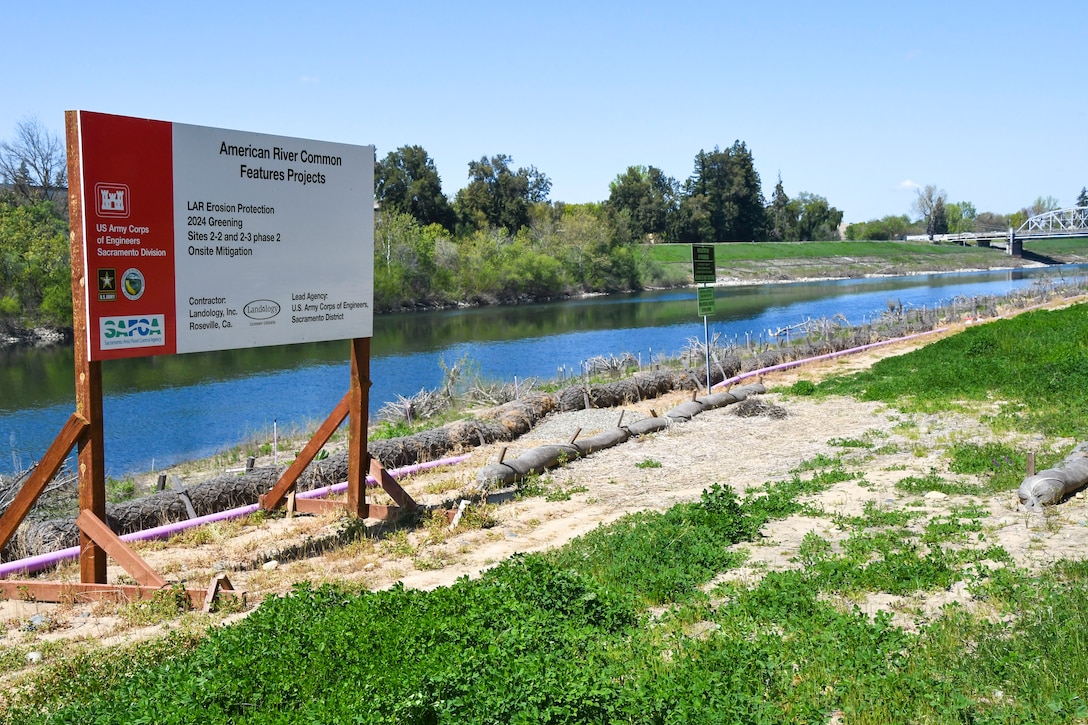 Vegetation regrowth along the American River