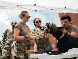A group of male and female soldiers insert a laryngoscope into a diesel canine simulator outside