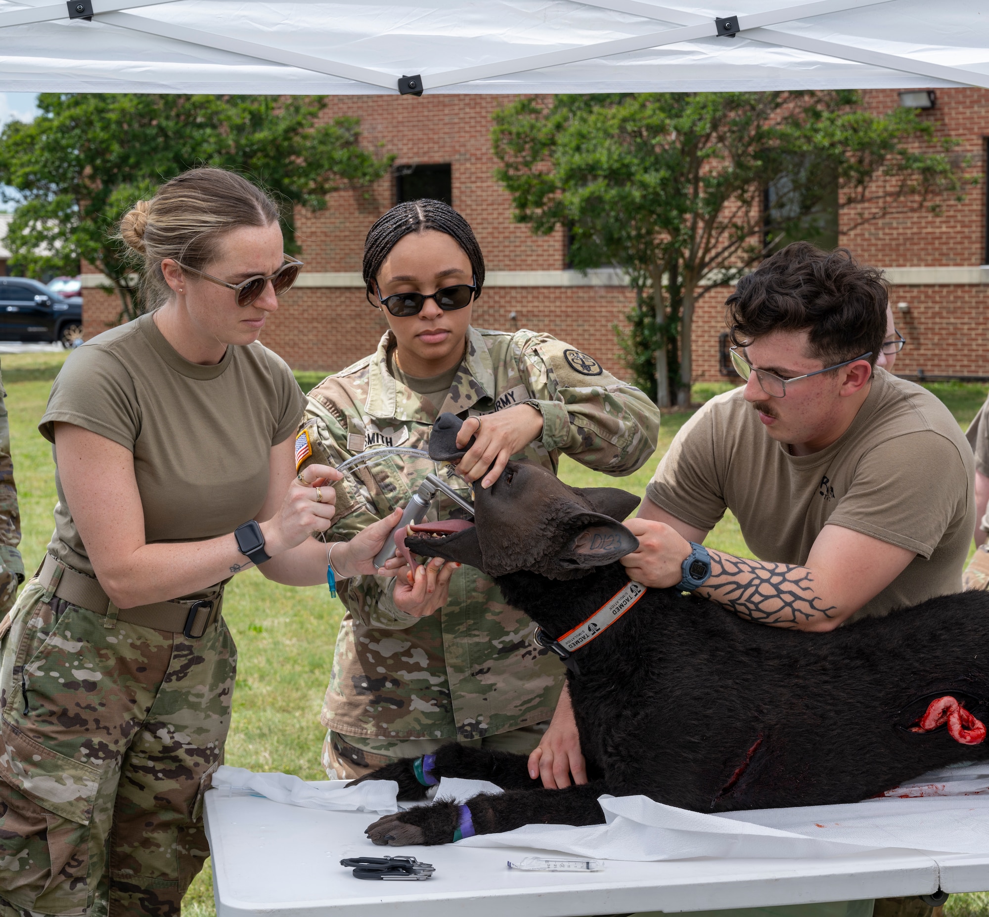 One airman holds a diesel K-9 simulator, one airman holds open the diesel K-9 simulator's mouth open, and one airman places a laryngoscope and breathing tube down the diesel K-9 simulator's throat.