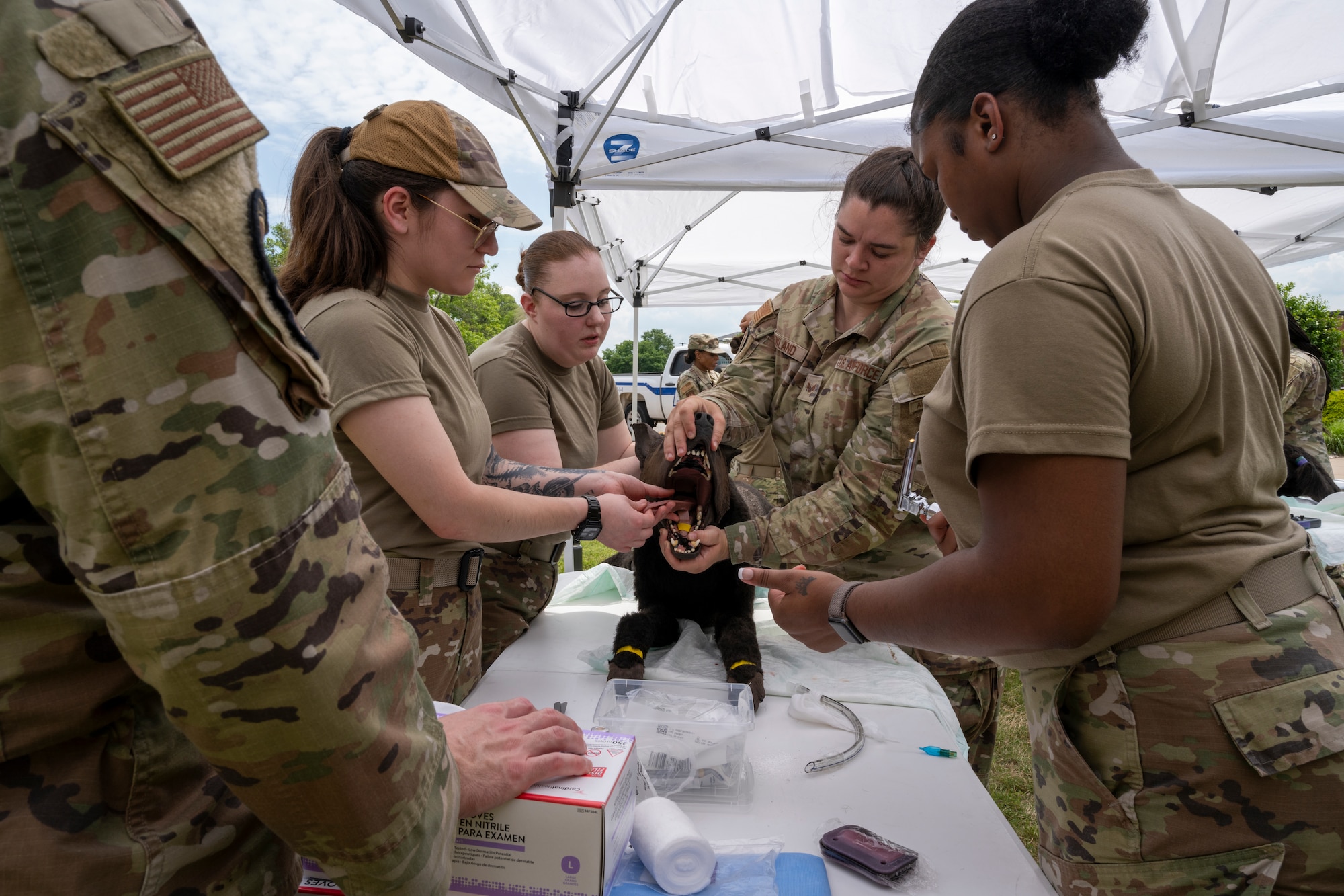 Four Airmen hold a diesel K-9 simulator's mouth open.