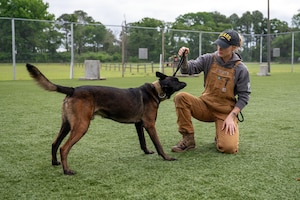 Airman holds leash of dog. (U.S. Air Force photo by Airman 1st Class Skylar Ellis)