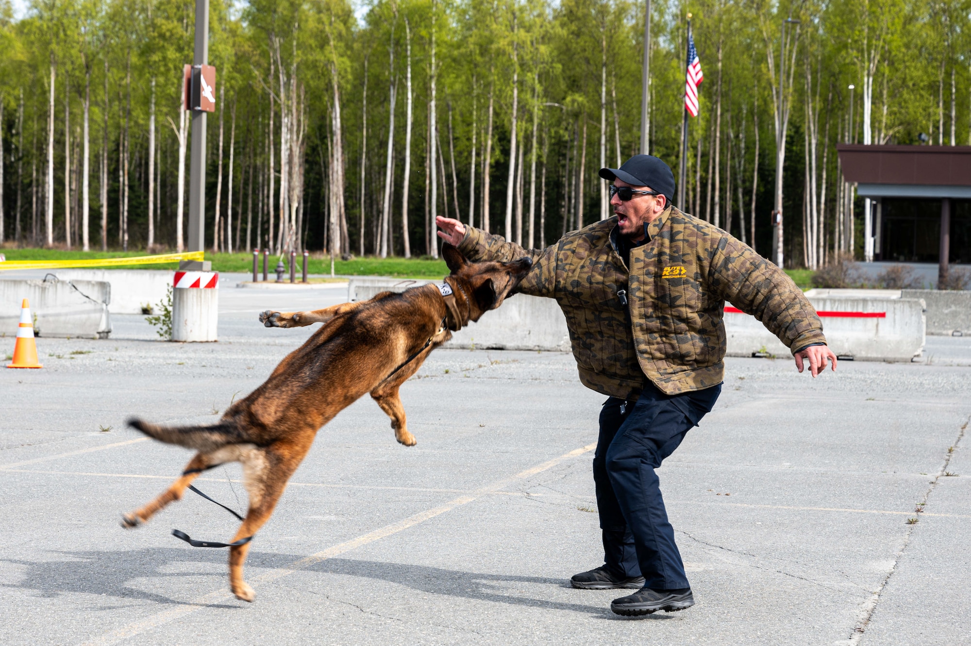 MWD Demonstration