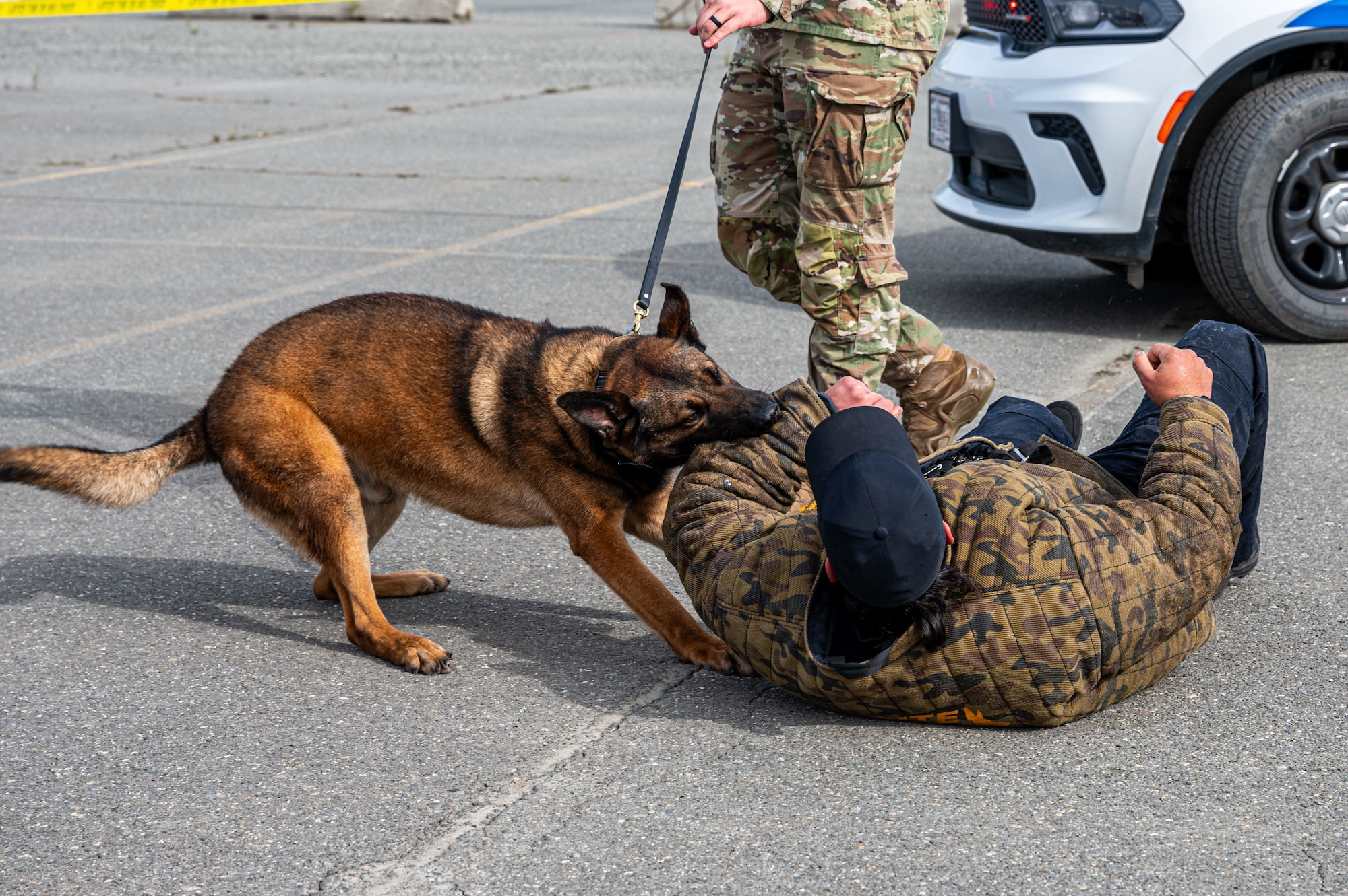 MWD Demonstration