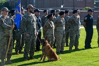 A joint formation of 11th Security Forces Squadron military and civilian defenders and Navy security forces assigned to Naval District Washington stand in formation during the opening ceremony of National Police Week on Joint Base Anacostia-Bolling, Washington, D.C., May 12, 2025. JBAB’s defenders regularly work on joint teams and with partner agencies to deliver optimal security to the base. (U.S. Air Force photo by Hayden Hallman)