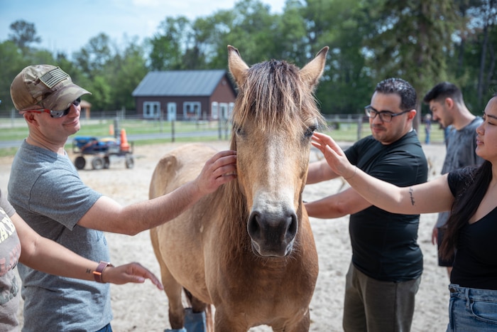 Airmen from AFMAO pet a brown horse during a resilience event.