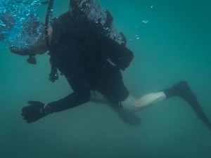 A U.S. Sailor descends the water during a limpet mine training during exercise Nautical Defender (ND) 25 in Jubail, Kingdom of Saudi Arabia. ND 25 is the capstone in a series of multi-national maritime security exercises designed to broaden levels of cooperation, support long-term regional security, and enhance military-to-military interoperability between the Kingdom of Saudi Arabia and the U.S.