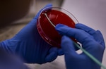 Lab professionals at Walter Reed ensure readiness and the health of service members and their families with a constant focus on patient safety, quality, and standardization while performing approximately three million reportable lab tests annually.