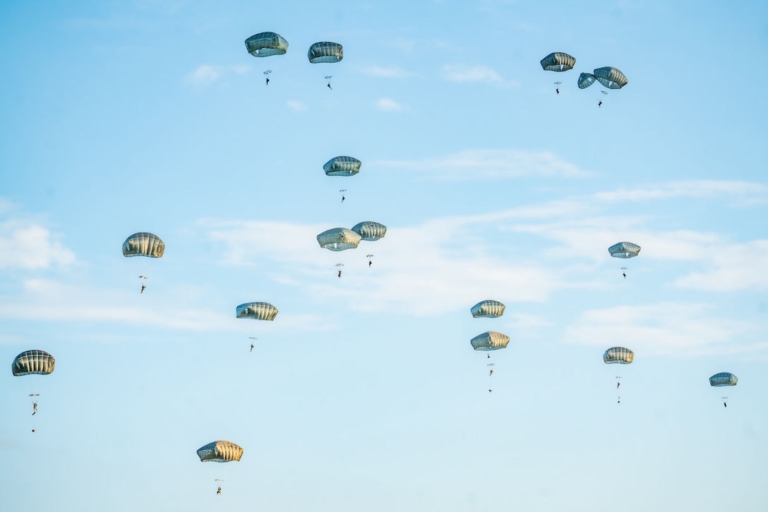 More than a dozen paratroopers descend by parachute in a blue sky.