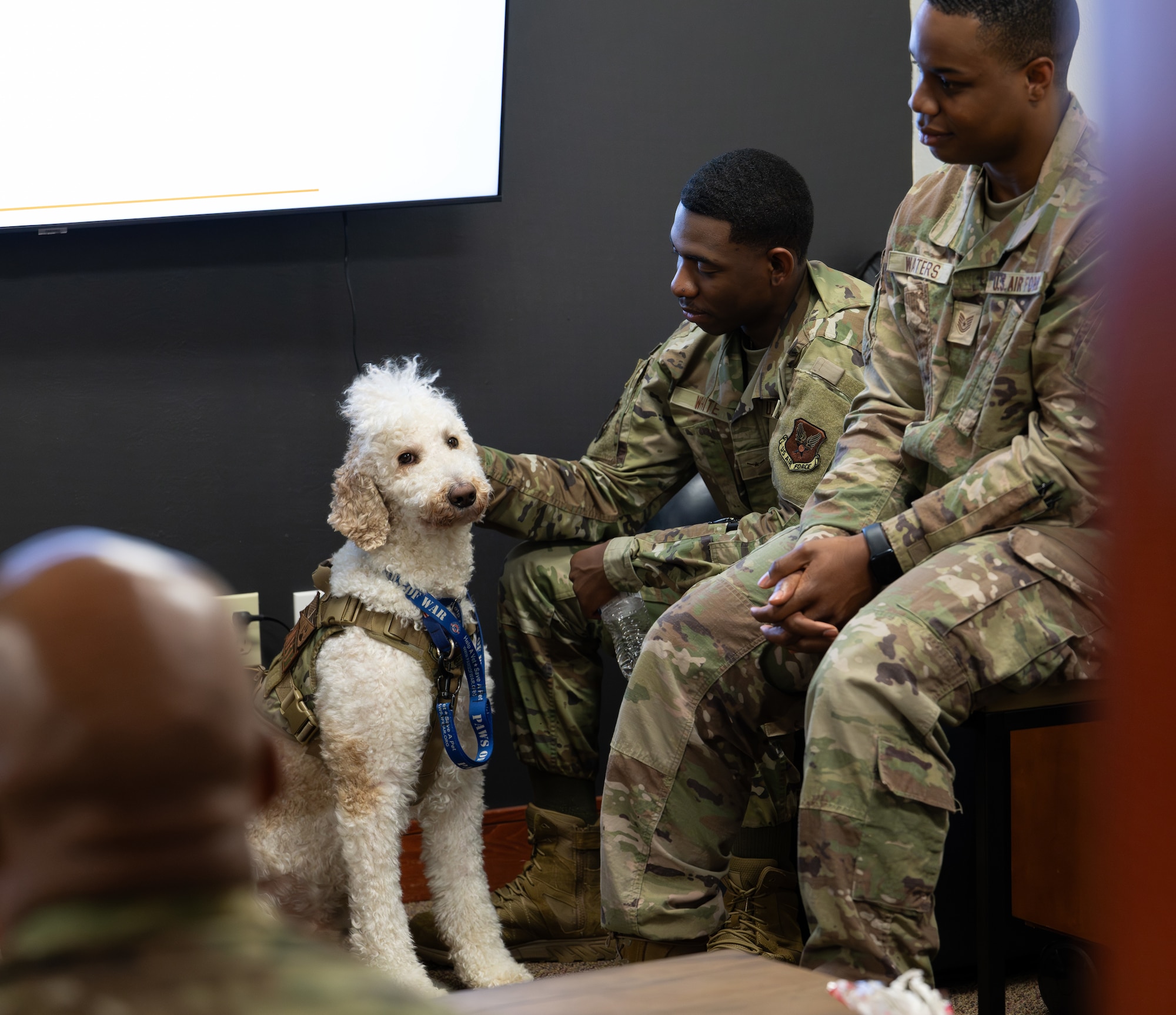 Honoring the Fallen: Dignified Transfer Training at Dover AFB