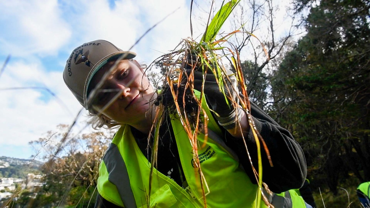 WELLINGTON, New Zealand (May 20, 2025) – Aerographer’s Mate Airman Apprentice Evelyn Steveson, assigned to 7th Fleet staff, conducts landscape beautification on Mount Victoria during a tree conservation event as part of a scheduled port visit in Wellington, New Zealand, May 20, 2025. The Blue Ridge and embarked U.S. 7th Fleet staff conduct regular Indo-Pacific patrols to deter aggression, strengthen alliances and partnerships, and advance future warfighting capabilities. (U.S. Navy photo by Mass Communication Specialist Seaman Andres Fonts)