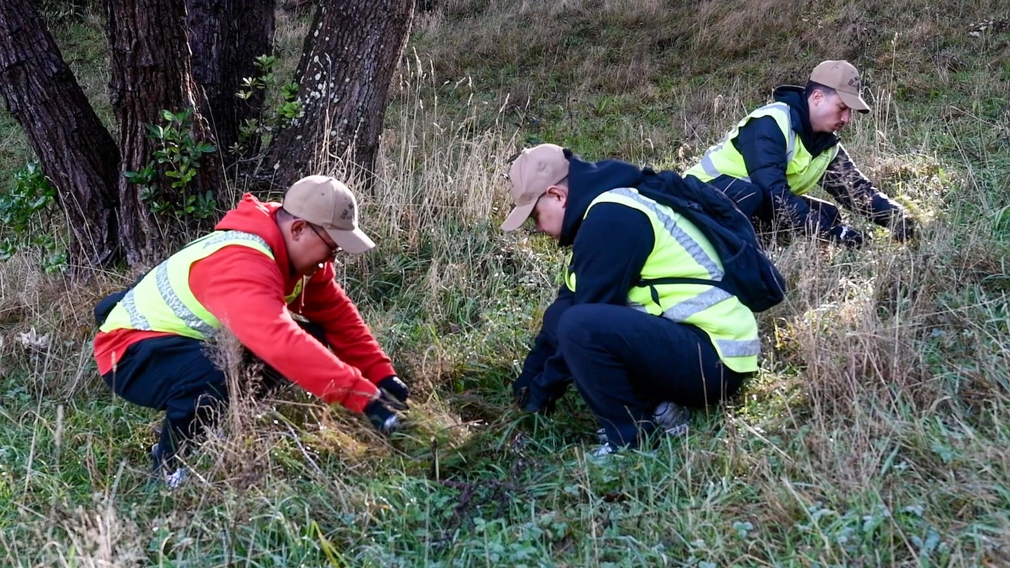 WELLINGTON, New Zealand (May 20, 2025) – Sailors assigned to U.S. 7th Fleet flagship USS Blue Ridge (LCC 19) and U.S. 7th Fleet staff conduct landscape beautification on Mount Victoria during a tree conservation event as part of a scheduled port visit in Wellington, New Zealand, May 20, 2025. The Blue Ridge and embarked U.S. 7th Fleet staff conduct regular Indo-Pacific patrols to deter aggression, strengthen alliances and partnerships, and advance future warfighting capabilities. (U.S. Navy photo by Mass Communication Specialist Seaman Andres Fonts)
