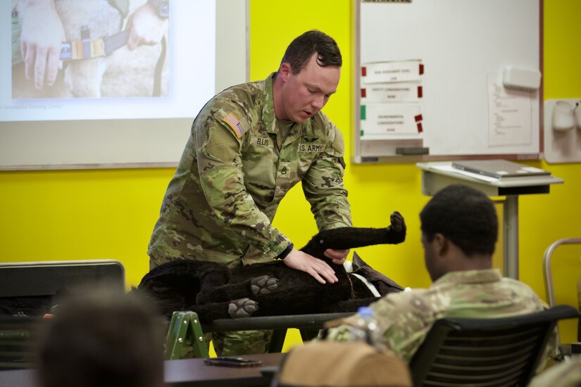 U.S. Soldiers with the Medical Readiness Detachment, Joint Force Headquarters, Pennsylvania National Guard learn lifesaving skills for military working dogs during a class at the Medical Battalion Training Site at Fort Indiantown Gap, Pennsylvania, Oct. 22, 2024. The Soldiers also received hands on training using dog mannequins, or simulated patients. (U.S. Army National Guard photo by Maj. Travis Mueller)