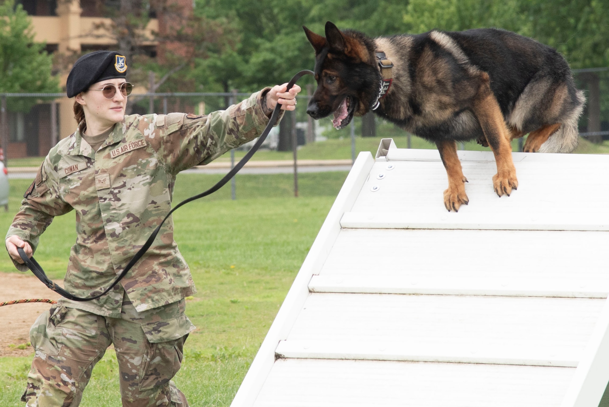 U.S. Air Force Senior Airman Daylynn P. Cowan, 316th Security Support Squadron military working dog handler, leads her dog, Baily, through the Capitol K-9 Trials at Joint Base Andrews, Md., May 14, 2025. The event was held to showcase handlers and their dogs in honor of National Police Week. (U.S. Air Force photo by Patrick Griffith)