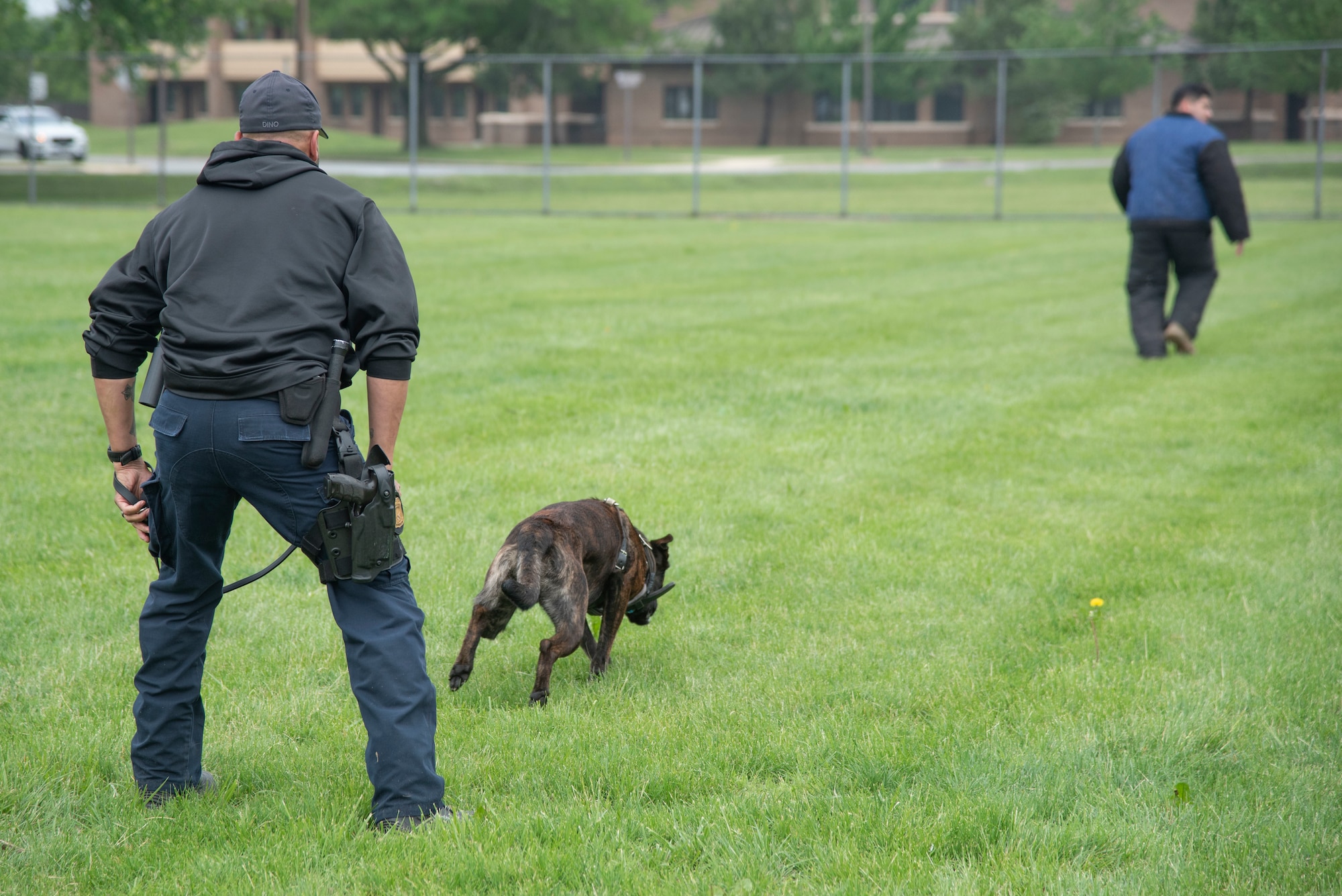 Trevor Hodges, City of Hyattsville Police Department working dog handler, releases his dog, Forest, to chase down a role player during the Capitol K-9 Trials at Joint Base Andrews, Md., May 14, 2025. The trials were one of several activities held on base for National Police Week. (U.S. Air Force photo by Patrick Griffith)