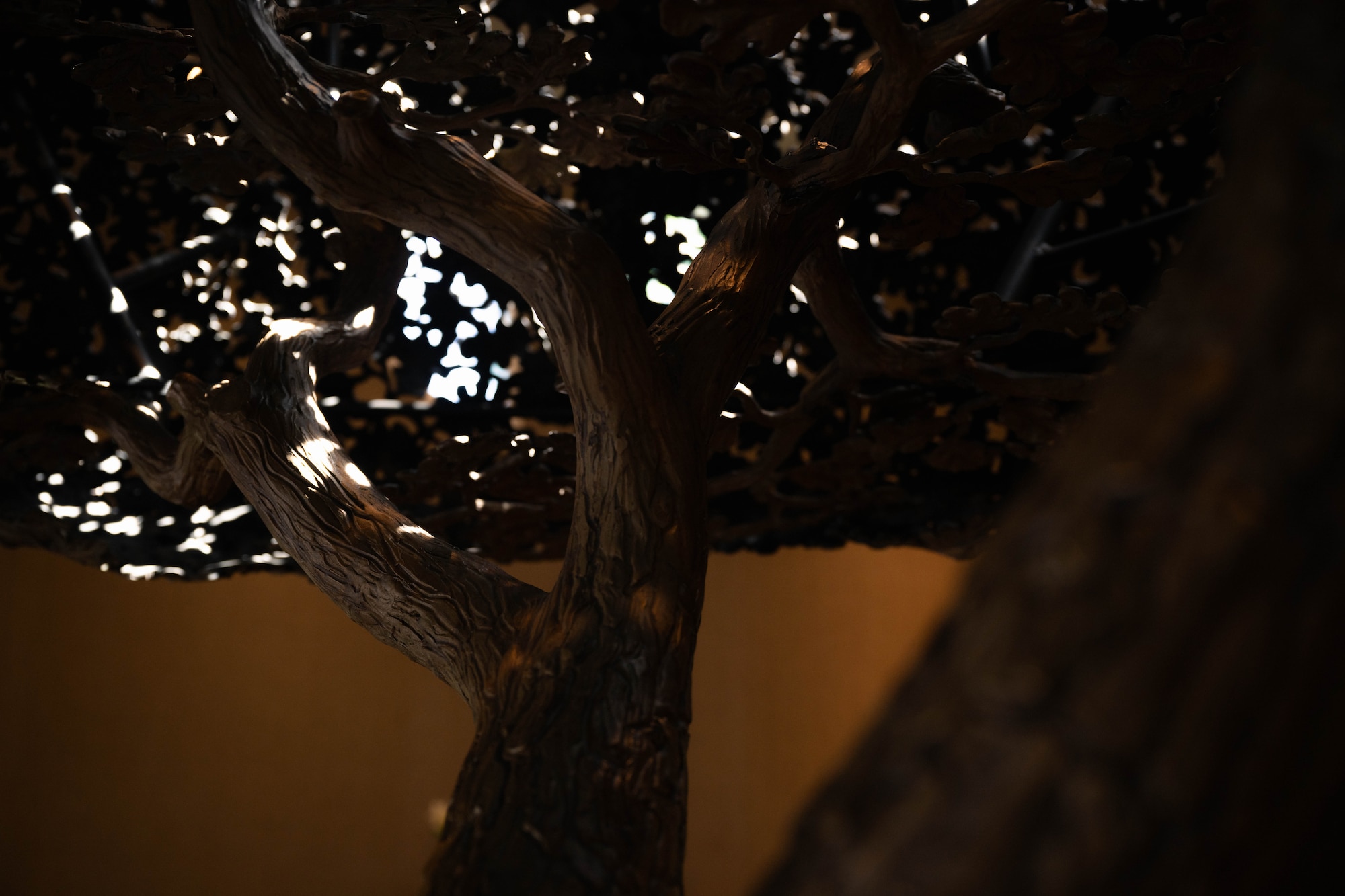The “Freedom Oak” undergoes construction during its installation into the Meditation Pavilion at the Fisher House for Families of the Fallen on Dover Air Force Base, Delaware, May 19, 2025.