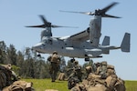 U.S. Marines with Animal Company, Battalion Landing Team 1st Battalion, 7th Marine Regiment, 31st Marine Expeditionary Unit, prepare to embark an MV-22B Osprey aircraft assigned to Marine Medium Tilt Rotor Squadron 265 (Rein.) during a quick response force rehearsal as a part of MEU Exercise, at Camp Hansen, Okinawa, Japan, May 3, 2025.