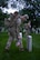 A U.S. Army Soldier wearing combat uniform is placing a small U.S. flag into the ground next to a tombstone.