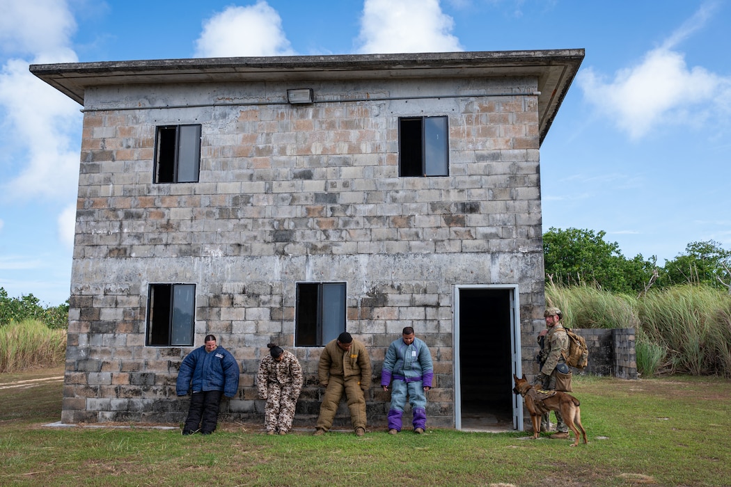U.S. Air Force Staff Sgt. Russell Postmus, right, 647th Security Forces Squadron military working dog handler assigned to Hickam Air Force Base, Hawaii, responds to a simulated noise complaint during a Pacific Air Forces Advanced Combat Skills Assessment K9 competition at Andersen Air Force Base, Guam, May 20, 2025.