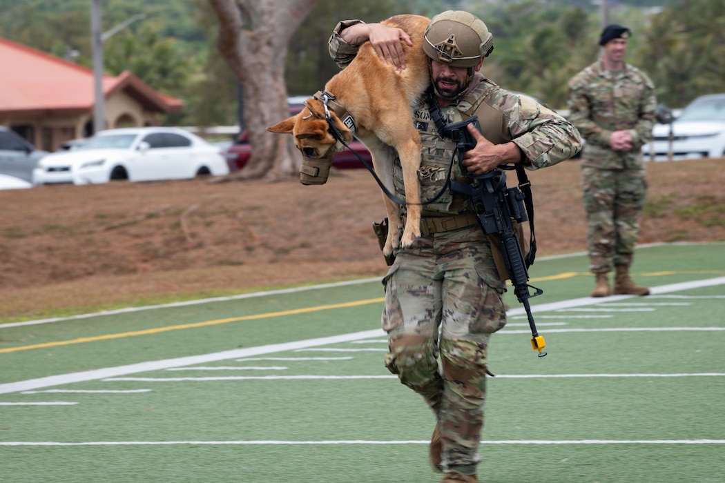 U.S. Air Force Senior Airman Nikolas Somoza, 18th Security Forces Squadron military working dog handler assigned to Kadena Air Base, Japan, runs with Dina, 18 SFS military working dog, during the dog carry portion of a Pacific Air Forces Advanced Combat Skills Assessment K9 competition at Andersen Air Force Base, Guam, May 19, 2025.