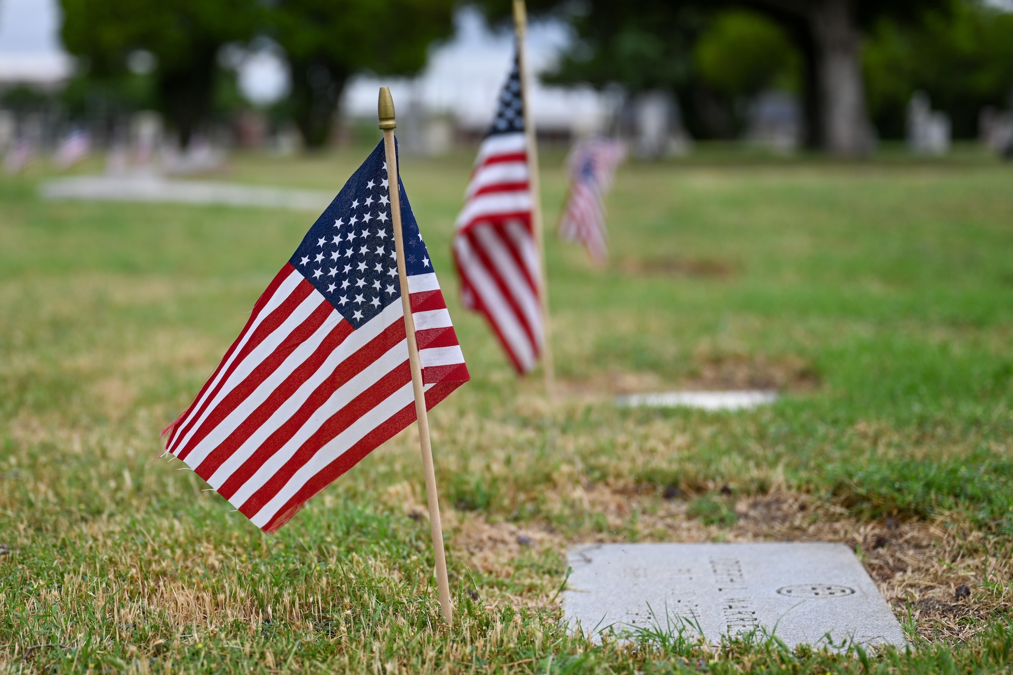 U.S. flags are planted at the Altus City Cemetery in Altus, Oklahoma, May 26, 2025. The flags were planted in observance of Memorial Day to honor fallen military members. (U.S. Air Force photo by Airman 1st Class Nathan Langston)