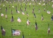 Flags, placed by more than 1,000 Scouts from Scouting America, wave over more than 53,000 gravesites at the National Memorial Cemetery of the Pacific at Punchbowl Crater May 25.