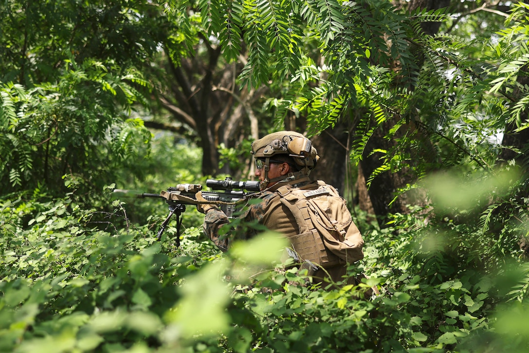 A Marine in camouflage kneels in a wooded area while aiming a weapon.