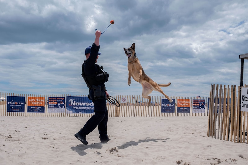 A Coast Guardsman holds a toy up while a dog jumps to get it on a beach under cloudy skies.
