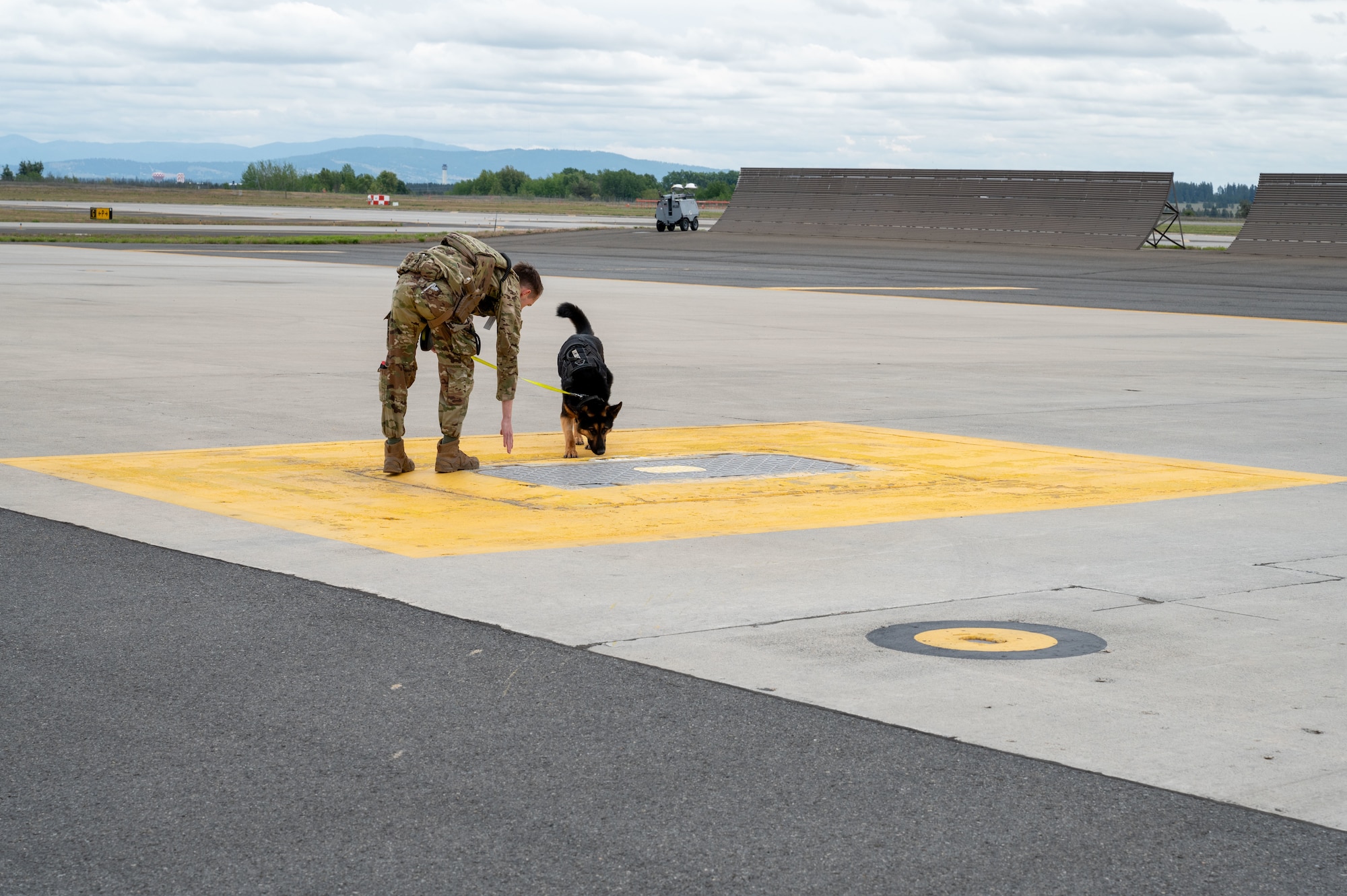 Airman guides his military working dog through a flightline sweep.