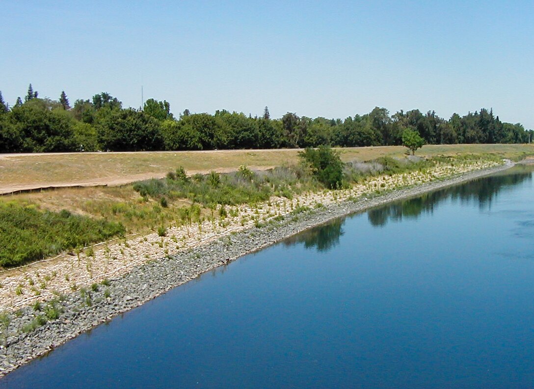 Lower American River Site 4 – Post-Construction Revegetati
