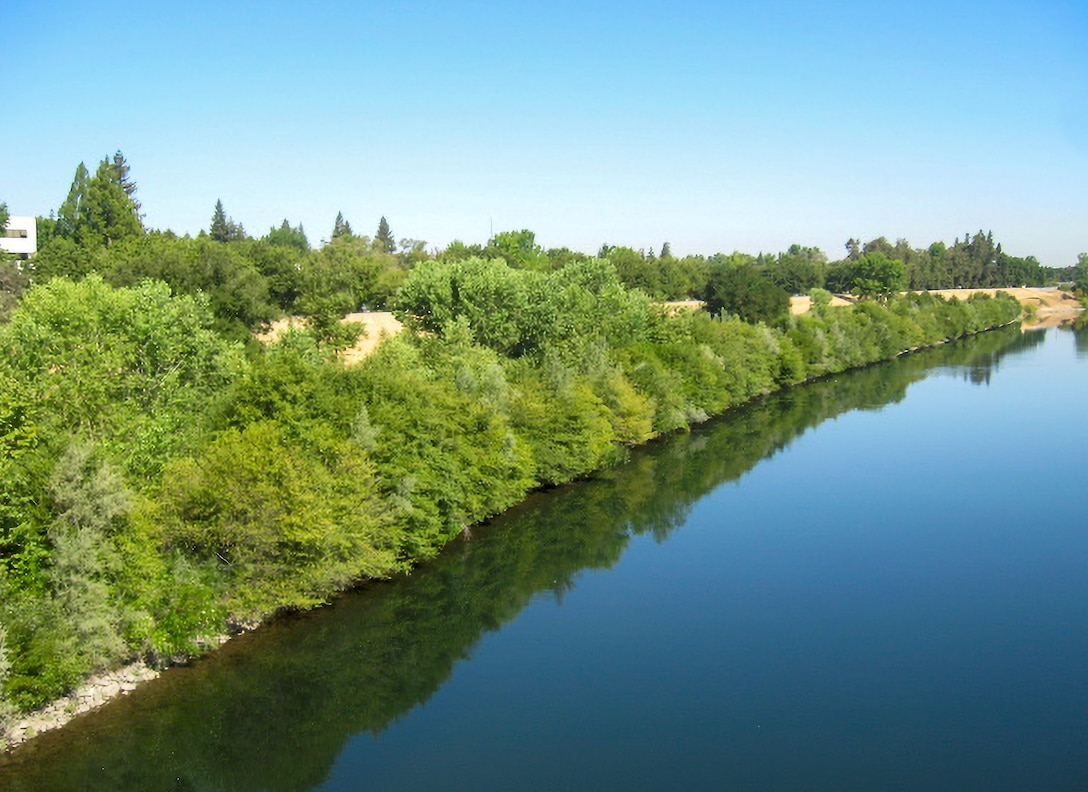 Lower American River Site 4 – Post-Construction Revegetati