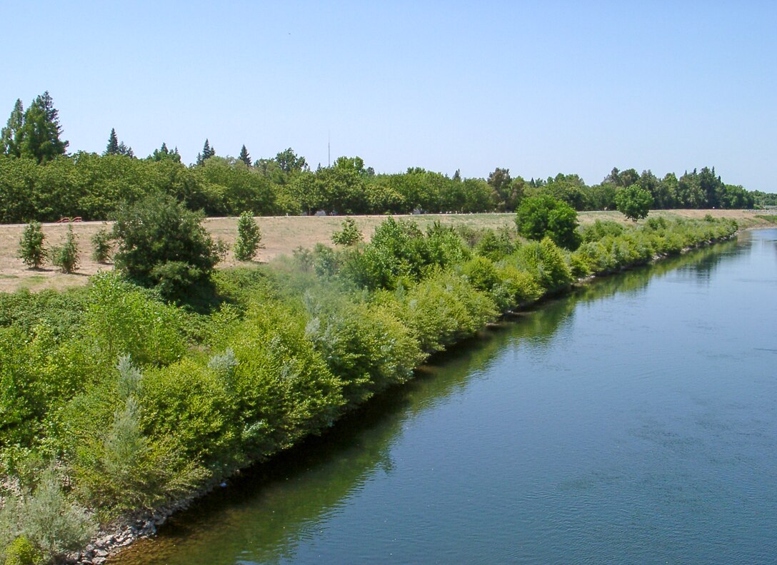 Lower American River Site 4 – Post-Construction Revegetati