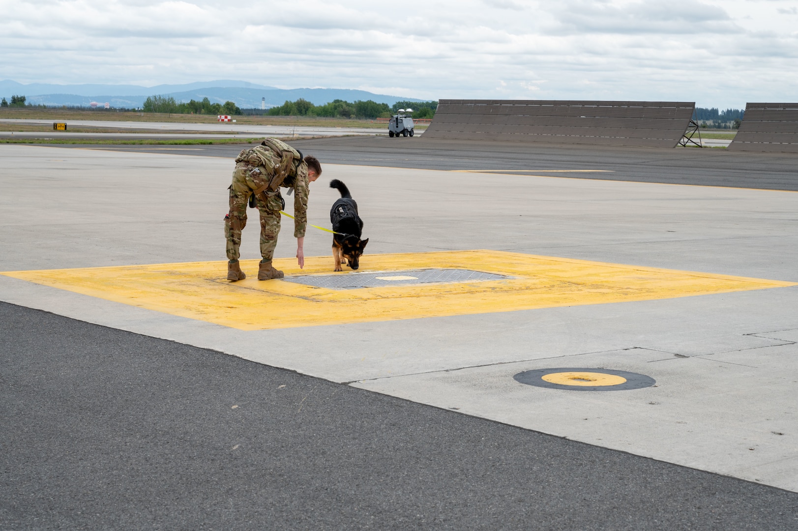 Airman guides his military working dog through a flightline sweep.