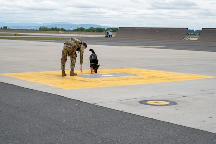 Airman guides his military working dog through a flightline sweep.