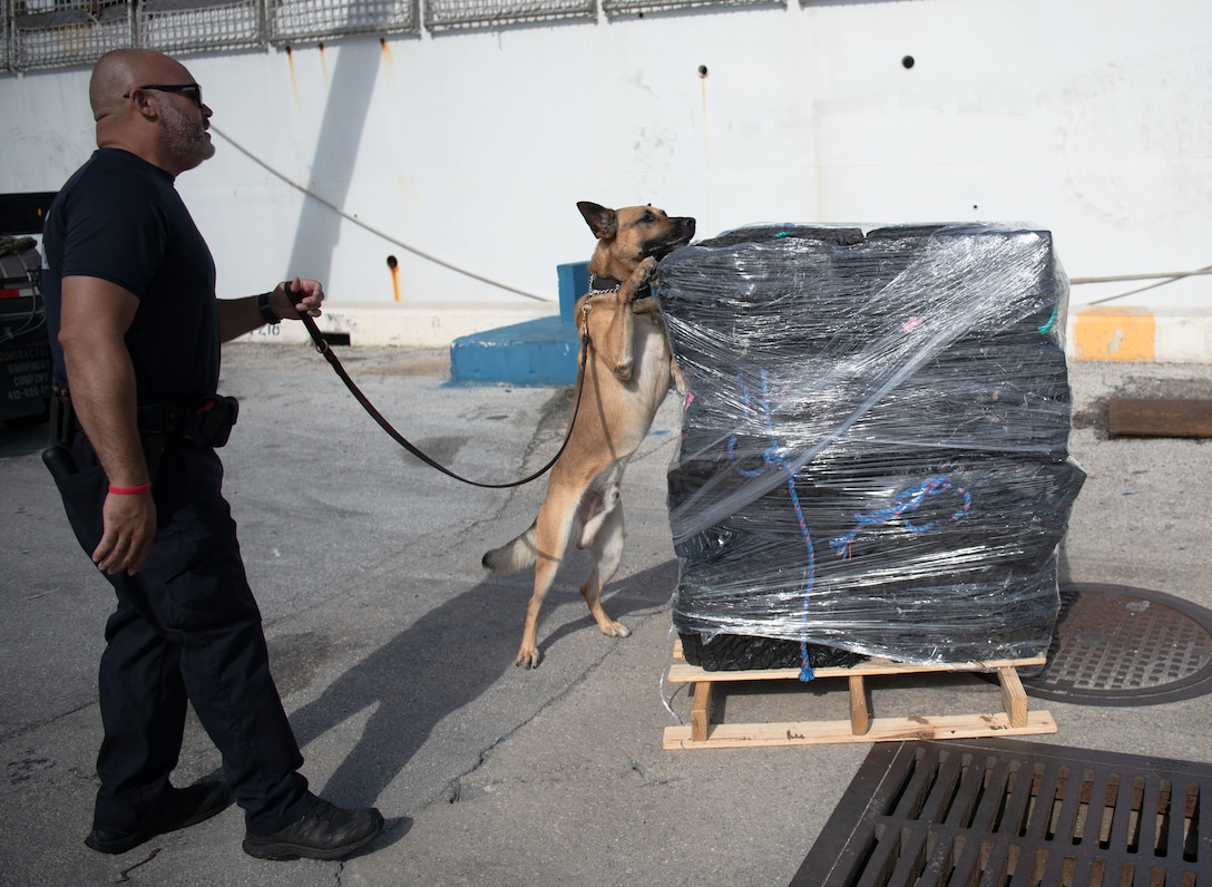 Customs and Border Protection canine inspects offloaded drugs at Port Everglades in Fort Lauderdale, Florida.