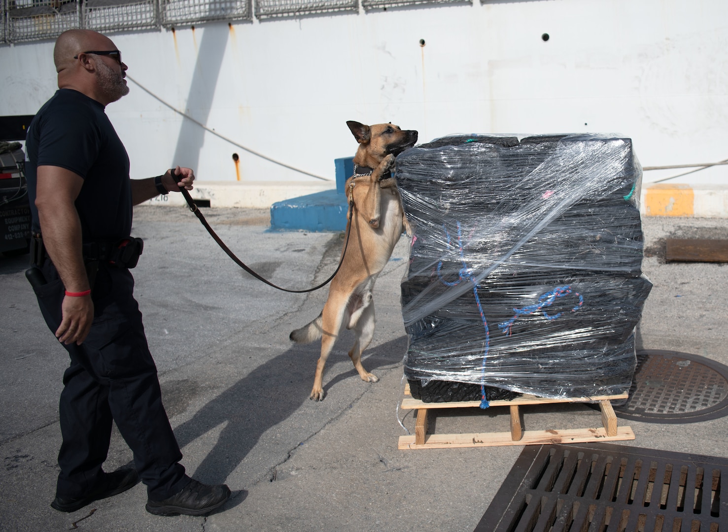 Customs and Border Protection canine inspects offloaded drugs at Port Everglades in Fort Lauderdale, Florida.