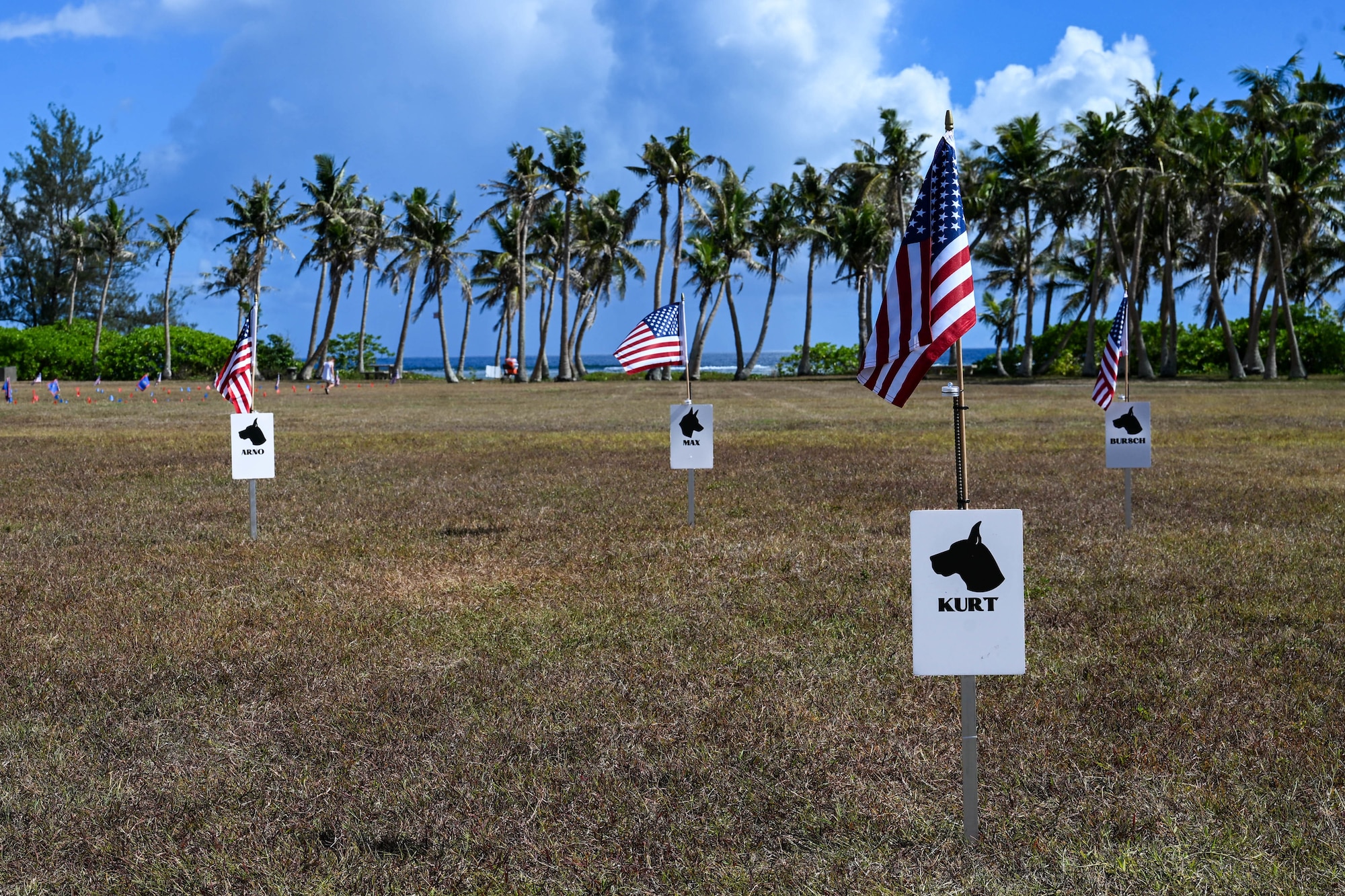 This is the most volunteers for the Memorial Day flag planting the cemetery has seen. (U.S. Air Force photo by Senior Airman Audree Campbell)